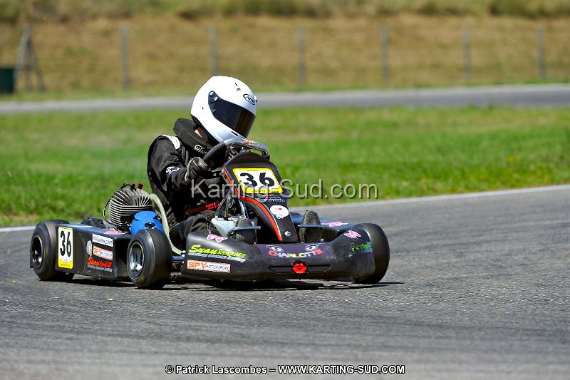 DSC_ (1453).jpg